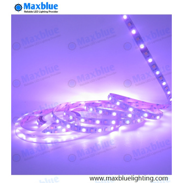 SMD5050 RGBW Four in One Flexible LED Strip Light